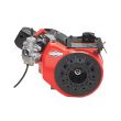 Animal Racing Engine Briggs & Stratton Karting